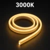 3000,000