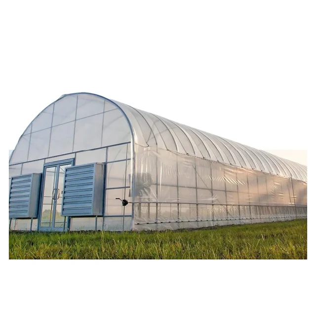 Hot Galvanized Steel Structure Hemp Greenhouse With Hydroponic System 60 Feet Light Deprivation Blackout Mushroom Greenhouse