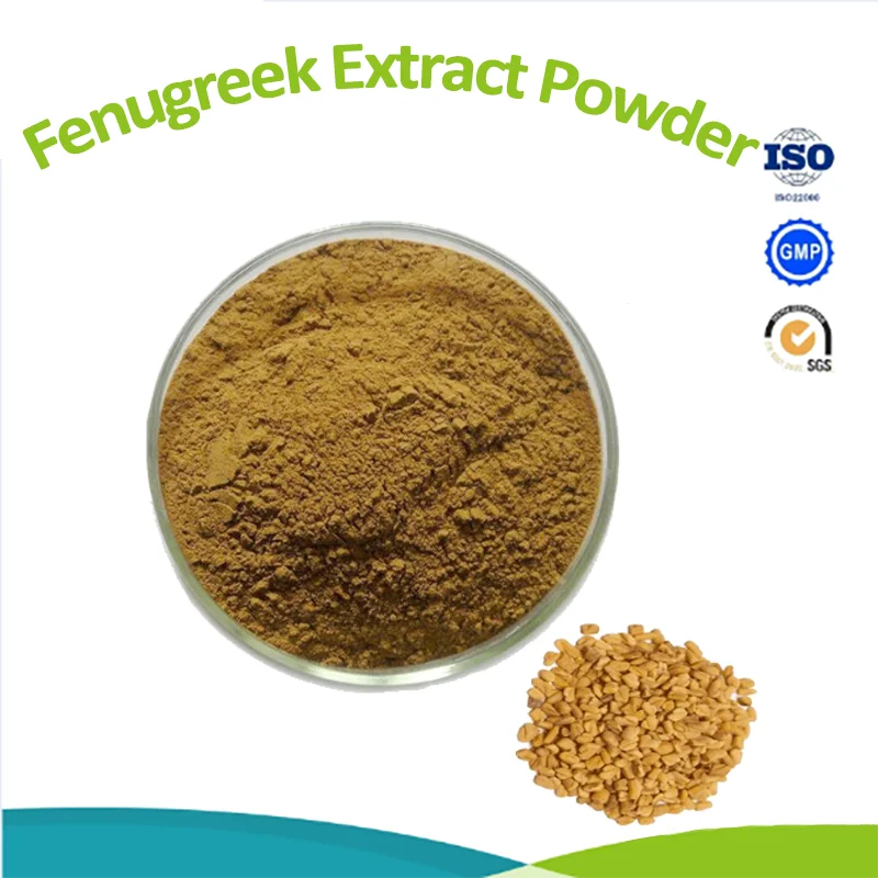 Fenugreek Seed Extract 50 Saponins Powder Trigonella Foenum Graecum Extract Furostanolic