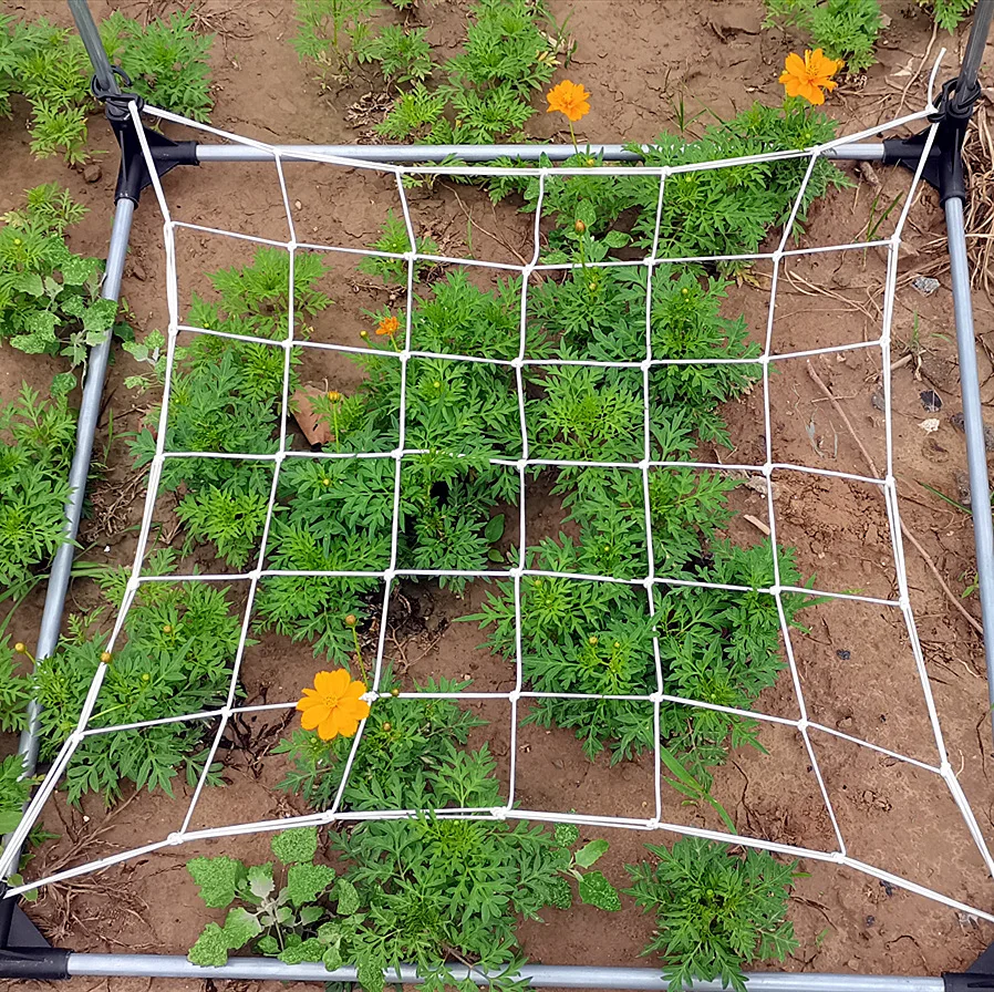 Rete Elasticizzata Per Tenda Da Coltivazione 60x60 Cm - Supporto Per Piante Rampicanti Con 8 Ganci, Ideale Per Giardino Idroponico E Indoor