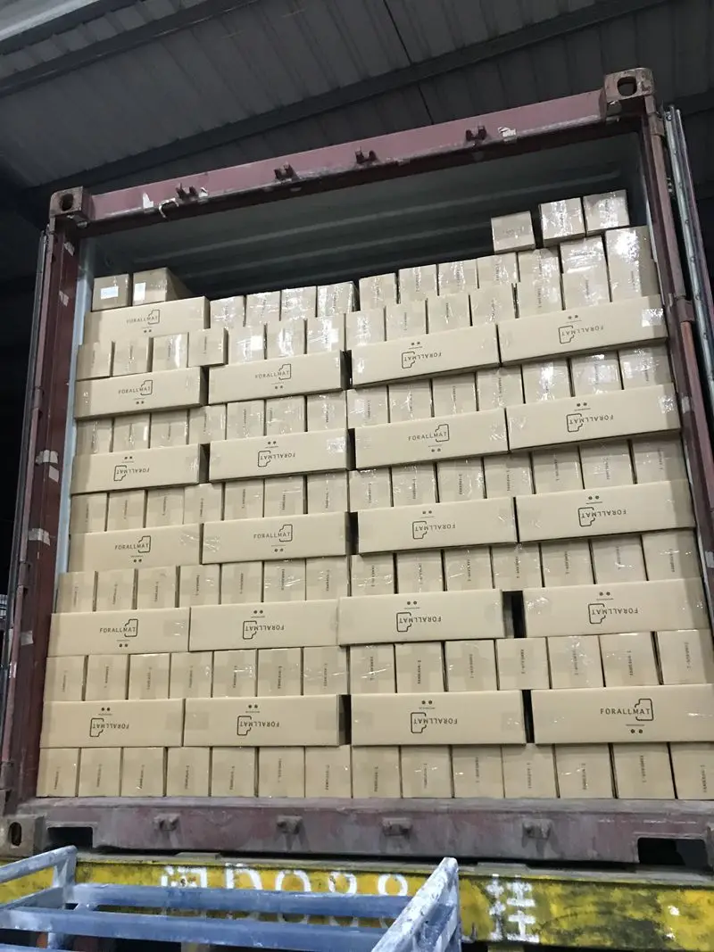 Car Clips Double Layer Car Floor Mat Clips manufacture