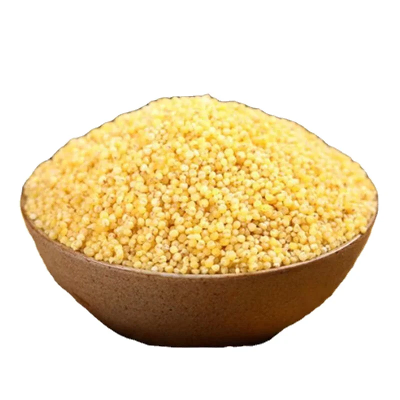 Top Quality And Good Price Protein-Rich Gluten-Free Grain Millet