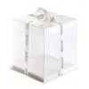 transparent