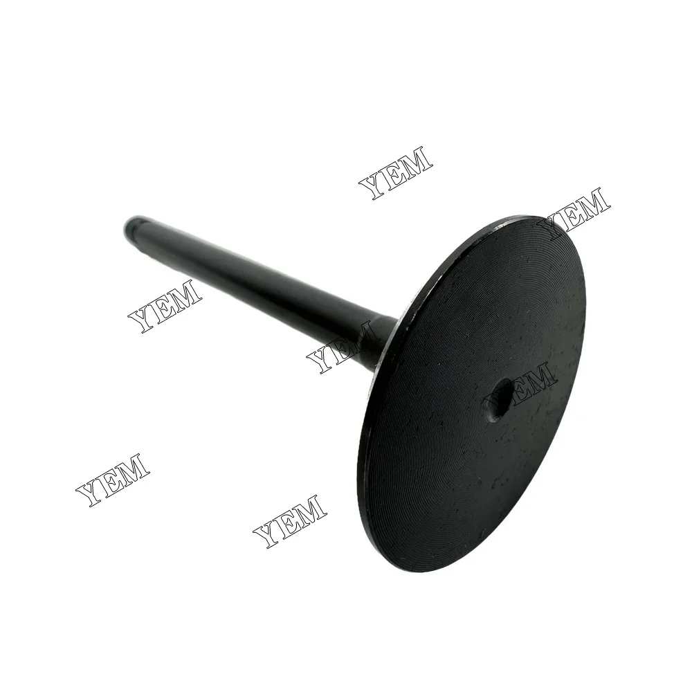 Intake Valve Compatible for Iseki E3CD Engine Parts 6