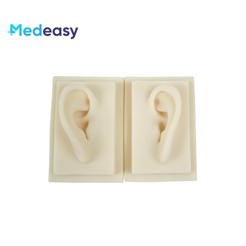 Silicone Ear Model,soft Ear Model,human Ear Model,simulated Human Ear 