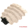 TT1B/GPINK29
