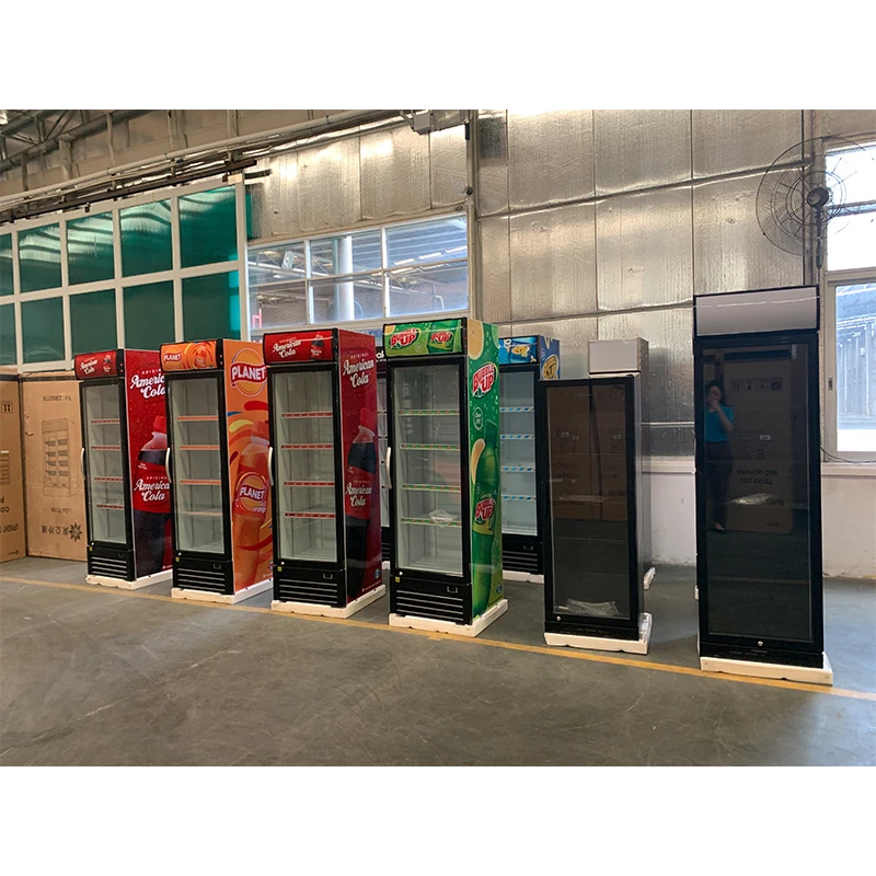 Commercial Display Refrigerator Single Glass Door Fridge