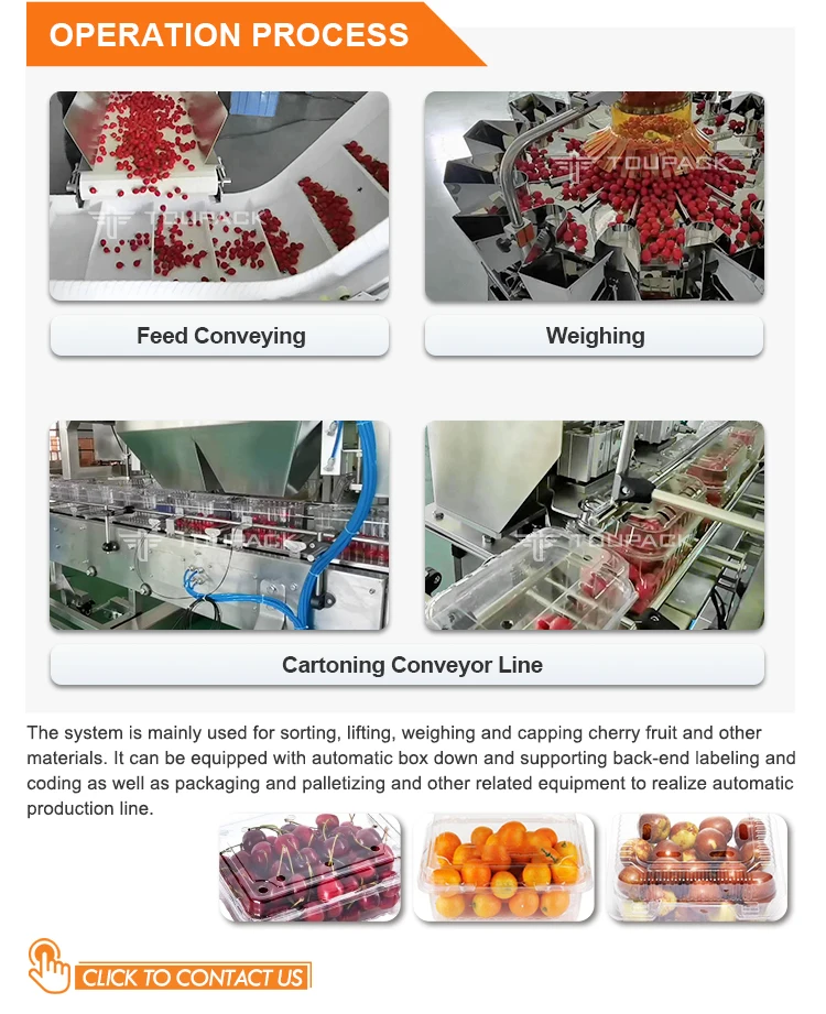 High-Speed Automatic Pouch Packaging Machine with 14 Head Multihead Weigher for Granule Filling in Stainless Steel 304/316