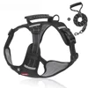 Black harness  leash set