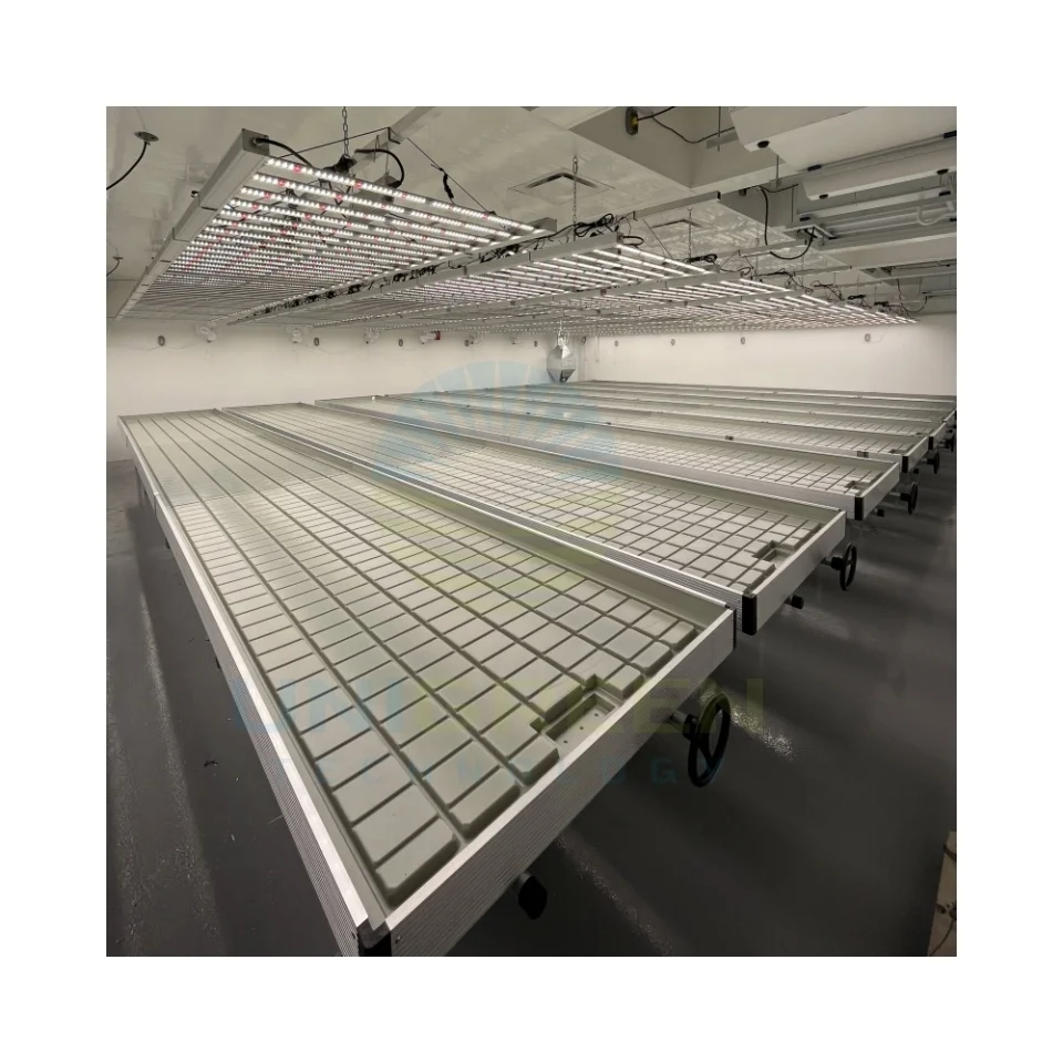 Ebb and Flow 4x16 Rolling Tables Agricultural Used 4x32 Flood Growing Bench Table With Hydroponic Flood Tray for Greenhouse Farm