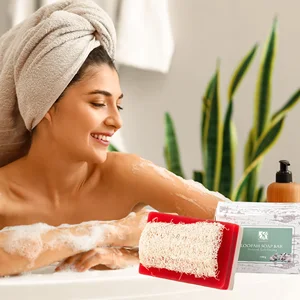 OEM Private Label handmade Cranberry Herbal Extract Bath Soap Bar for Oily Skin-Brighten & Whitening Natural Exfoliator