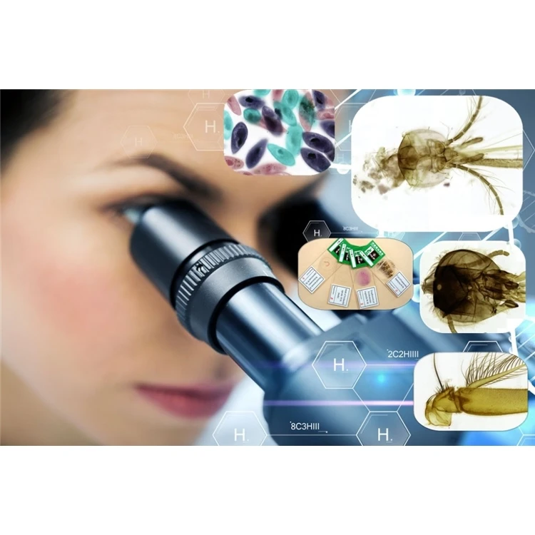 Medical Science Teaching Resources Educational Equipment Animal and Parasitology Microscope Prepared Glass Slides