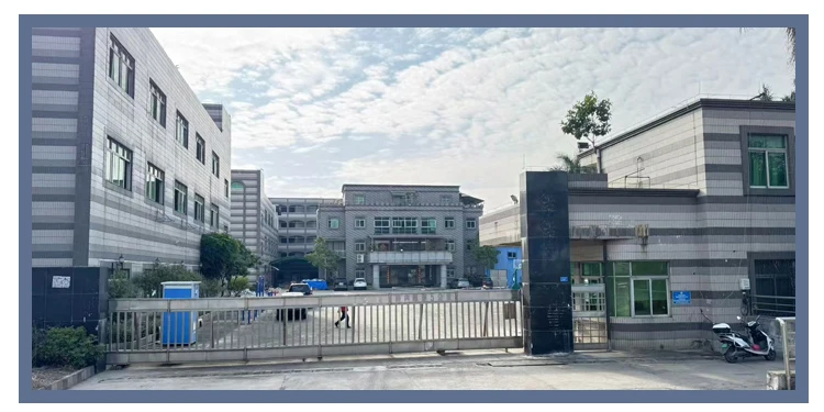 粘贴的图片