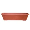 Terracota