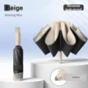 Beige Wutong