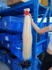 CAPELLI BIONDI