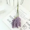 Épis de blé violet foncé
