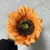 Tournesol simple à une tête, de couleur jaune orangé.