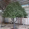 3#(Artificial olive tree deposit)