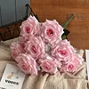 #6 nucleo rosa