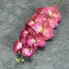 rose red