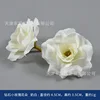 Diamond-shaped rose petals, milky white