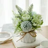 Rabbit Ear Green