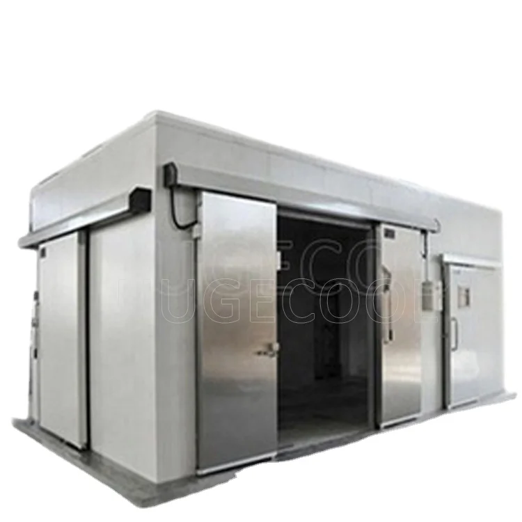 Hugecool Cold Storage Freezing Blast Freezer Walk in Cold Room for Potato Meat, Fish, Chicken, Seafood with Refrigeration Unit