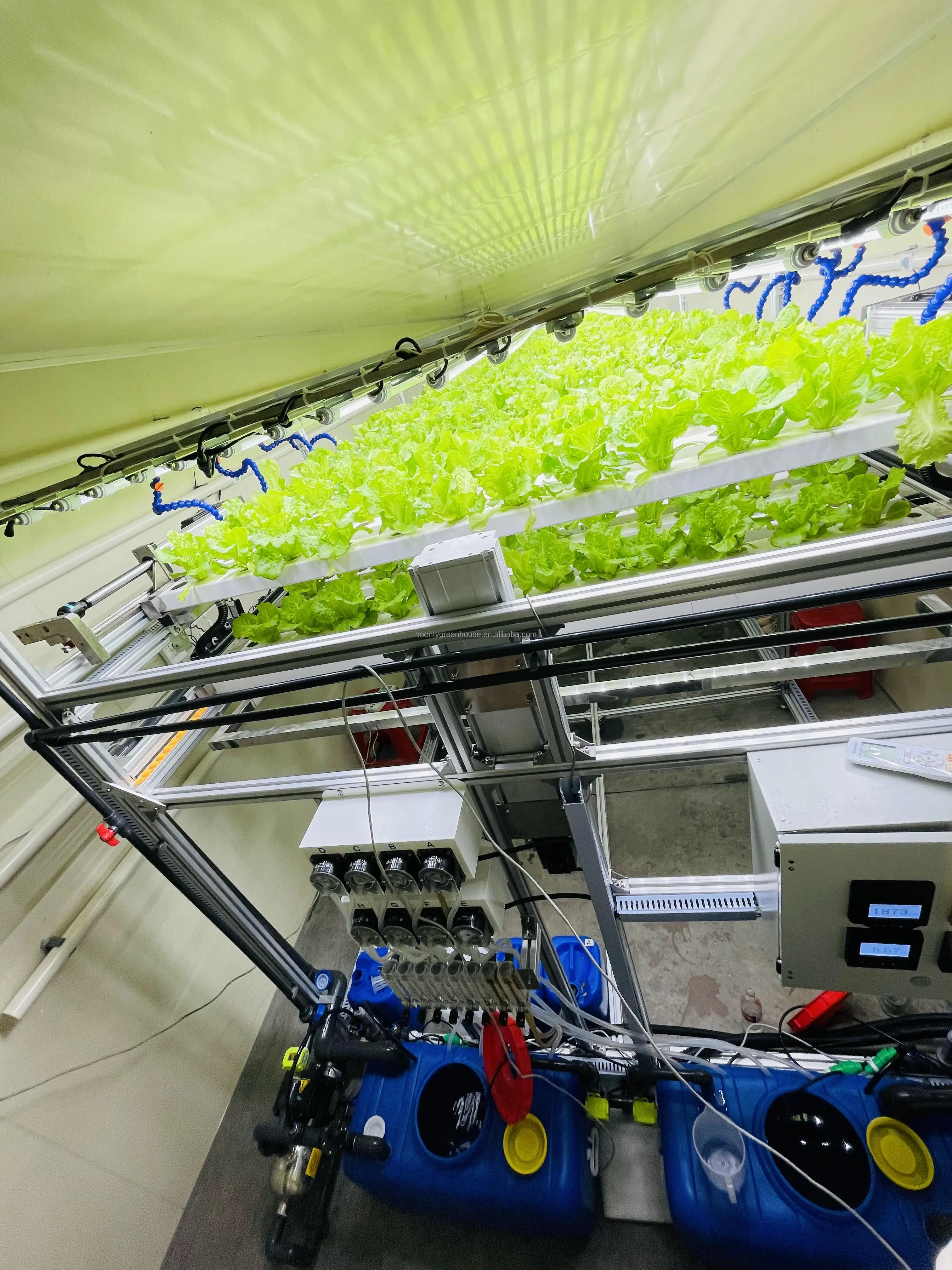 9+ Hydroponic Shipping Container Agricultural Shipping Container Farm Greenhouse Ready for Ship