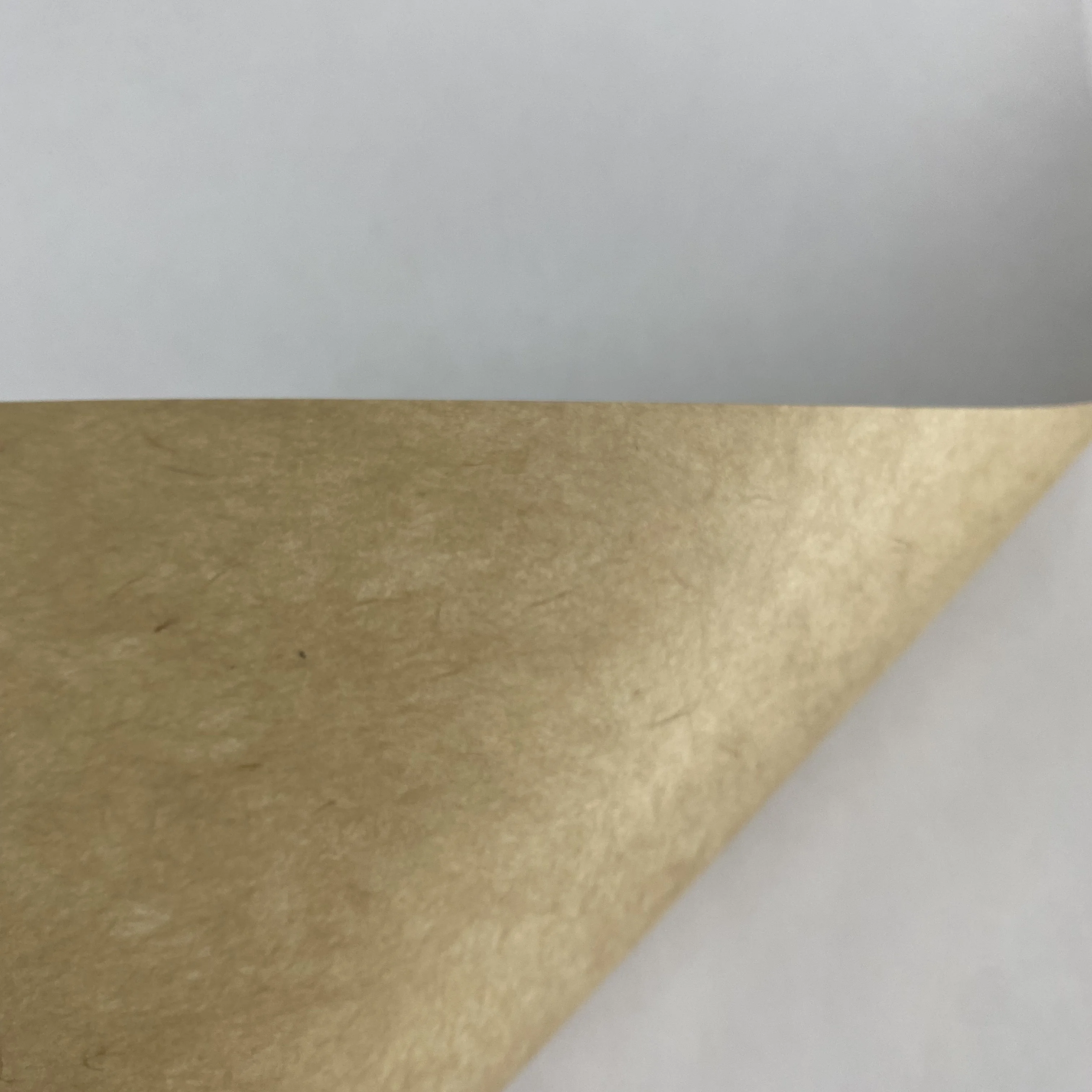 Best Price White Top Board in Sheet Coated Kraft Board CCKB Paperboard