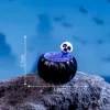Skeleton Pool
