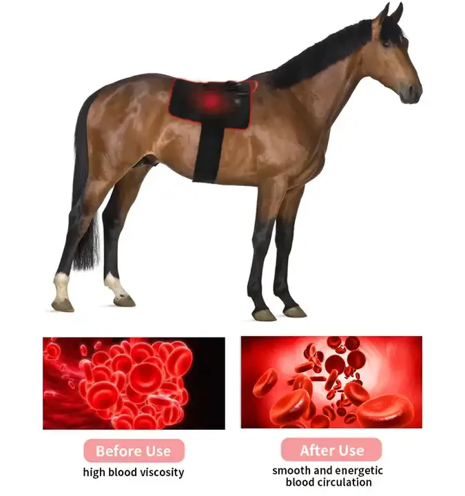 Led Red Light Near Infrared Light Pet Horse Lighttherapy Led Lamp Horse Red Light Therapy Pad