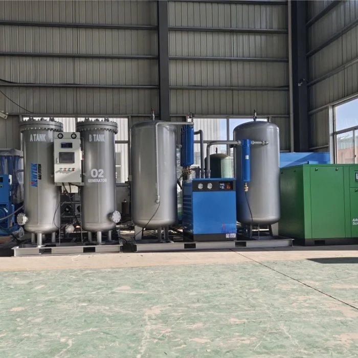 2024 Advanced Quality Industrial Oxygen Generator Pressure Swing Adsorption 93%+-3%