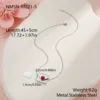 Silver NMSN-M221-5