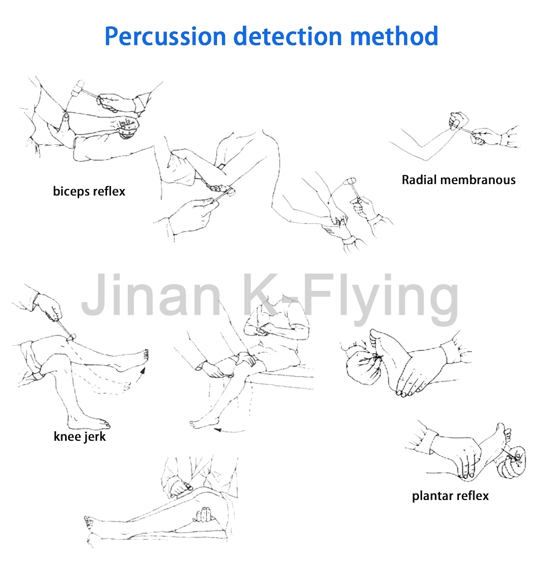 percussion hammer.jpg