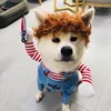 Red christmas riding costume