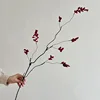 Ramas cortas rojas