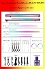Dynamic Symphony 20 Lights