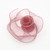 035 Rosa rosa