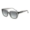C3 bright transparent gray framegradual black-grey lenses