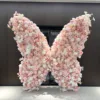 220220cm butterfly-standard frame