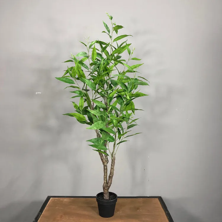 bonsai heresy Hedge Sageretia Bonsai ( Sageretia theezans ) for Sale main image 1