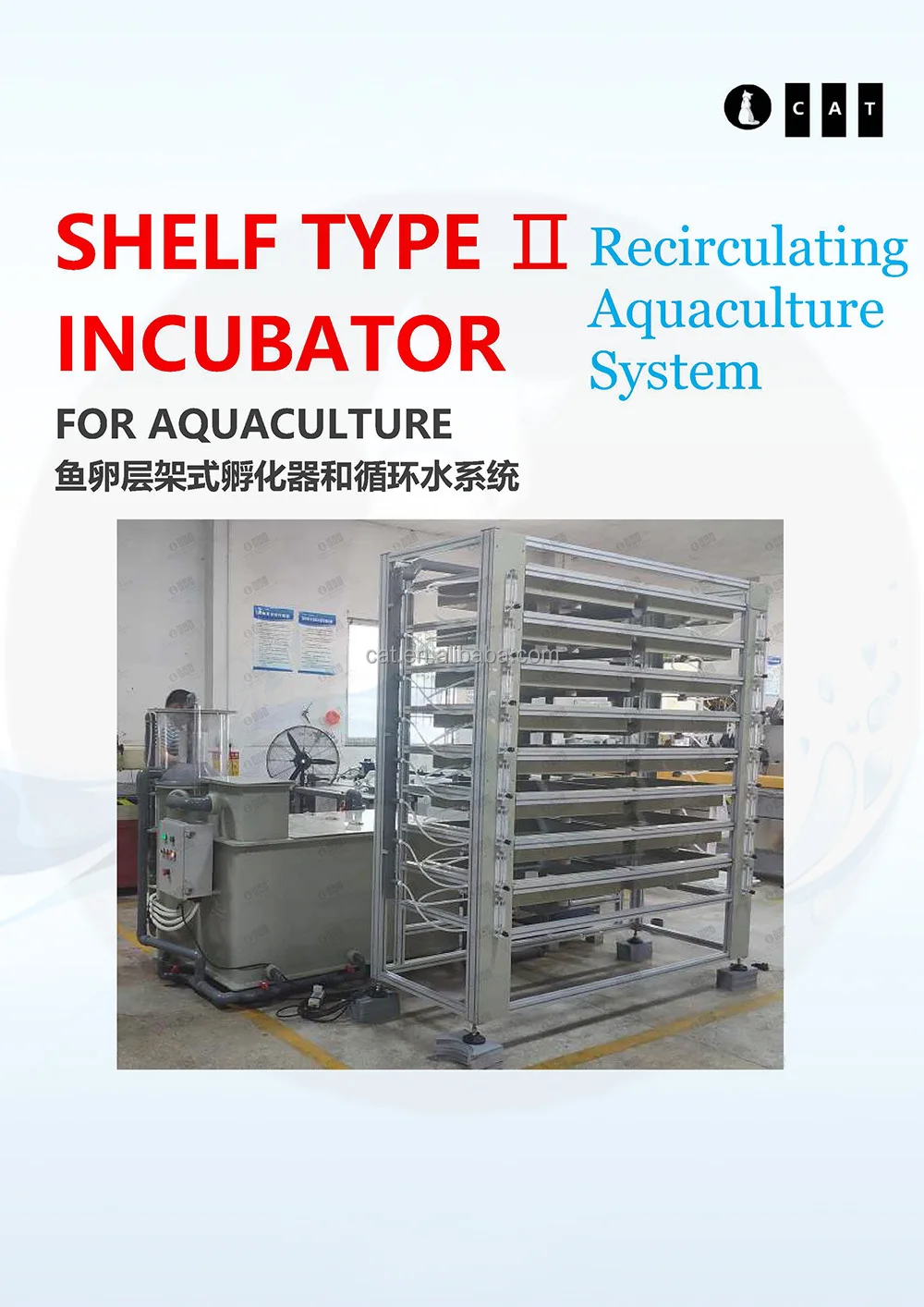 Cataqua Shelf Type China Automatic Aquarium Commercial Large Catfish