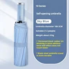 10K Automatic Umbrella(Sky Blue)
