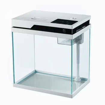 Wholesale Eco Salt Water Mini Automatic Feeding Desktop Aquarium Small ...