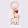 Nouveaux cœurs rouges jaunes golden retriever