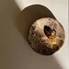 Diámetro 10, altura 2 cm, malla marrón, mármol.