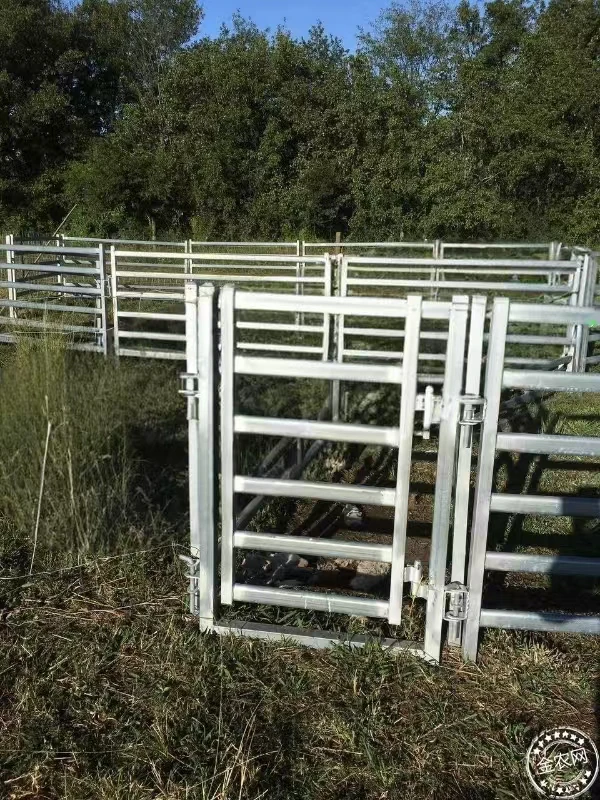 Premium 6 Rail Hot Dip Galvanized 6 Feet Livestock Cattle Panel Fence ...