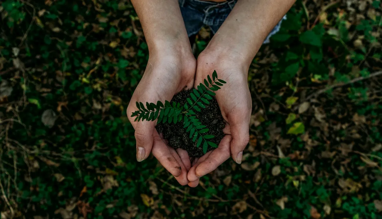 Ecopro Compostable Packaging