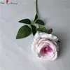 สีขาวและสีชมพู